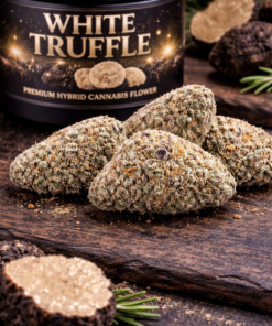 White Truffle strain Las Vegas