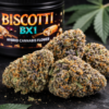 biscotti bx1 strain profile