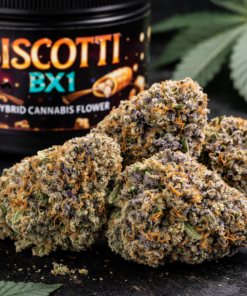 biscotti bx1 strain profile