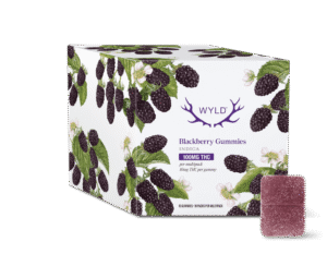 buy blueberry soft chews 10pcs online