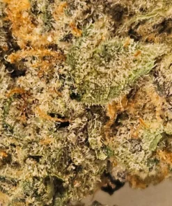 buy Daily Grape cannabis flower strain online