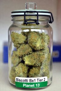 buy Biscotti Bx1 Tier 2 cannabis flower online