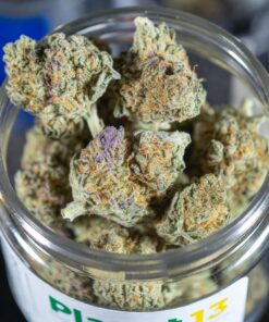 buy foam tier 2 cannabis flower online