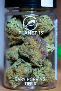 buy gary poppins tier 3 premium online