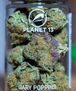 buy gary poppins tier 3 premium online