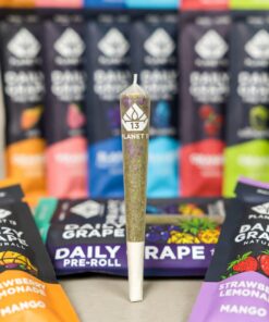 buy Daily Grape pre-roll joint online