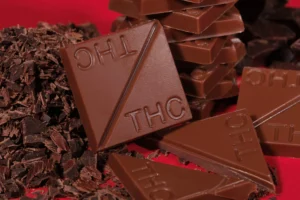 buy Indica milk chocolate squares online